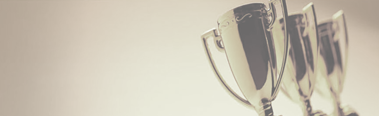 Wzcc Outstanding Zarathushti Awards – Nomination Package – 2023